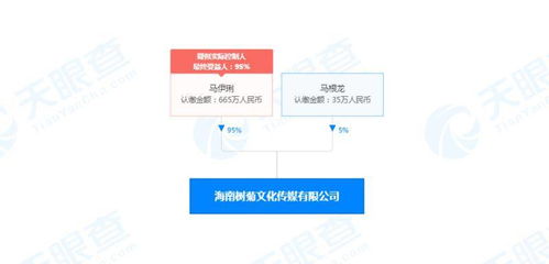 马伊琍海南布局新赛道 文化传媒公司成立，深耕演艺与网络文化经营